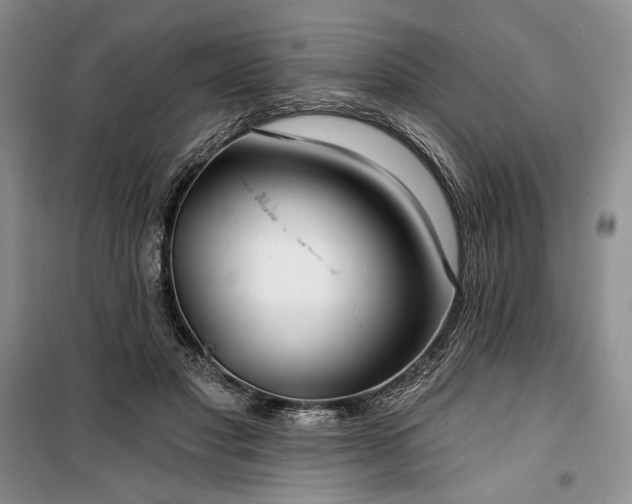 X0000100370501200806131041