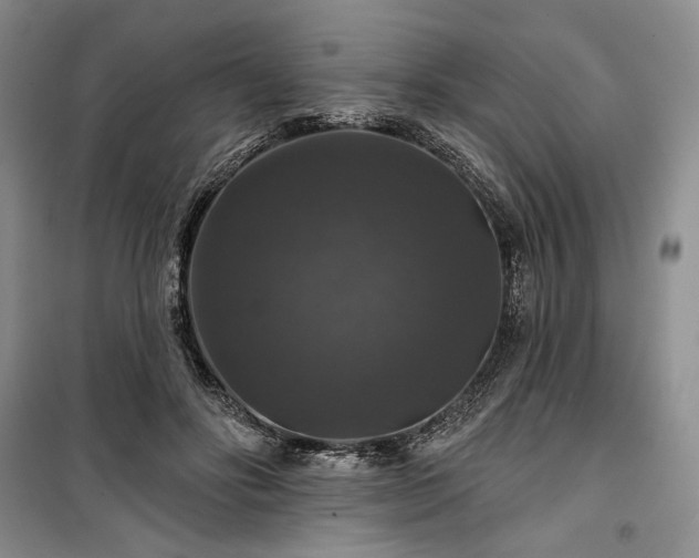 X0000100370502200806131041