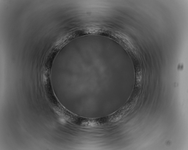 X0000100370503200806131041