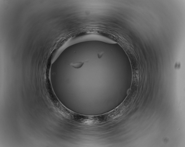 X0000100370504200806131041