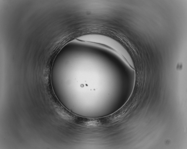 X0000100370505200806131041