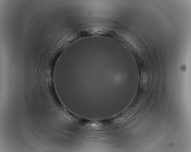 X0000100370506200806131041