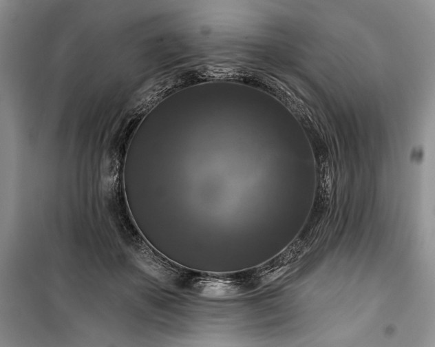 X0000100370507200806131041