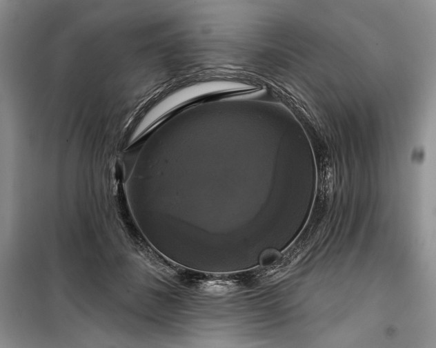 X0000100370508200806131041