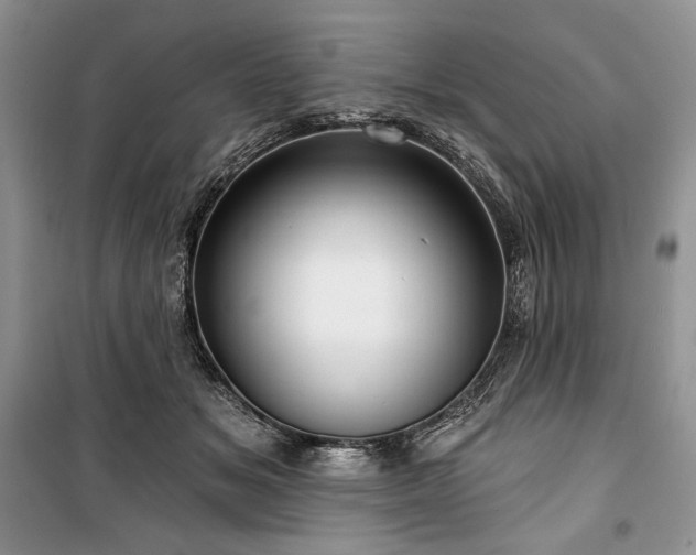 X0000100370509200806131041