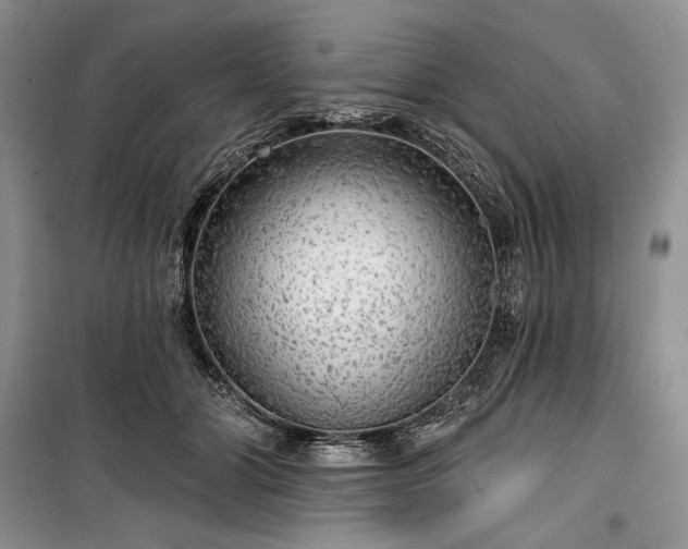 X0000100370510200806131041