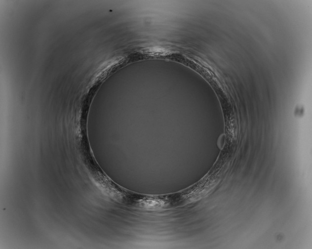 X0000100370512200806131040