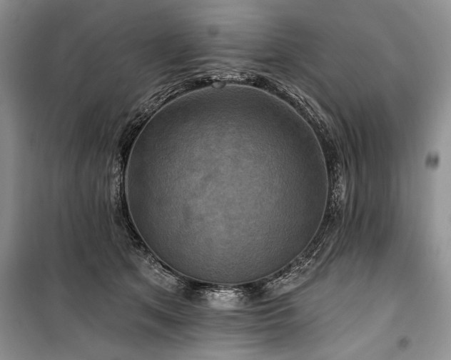 X0000100370513200806131040