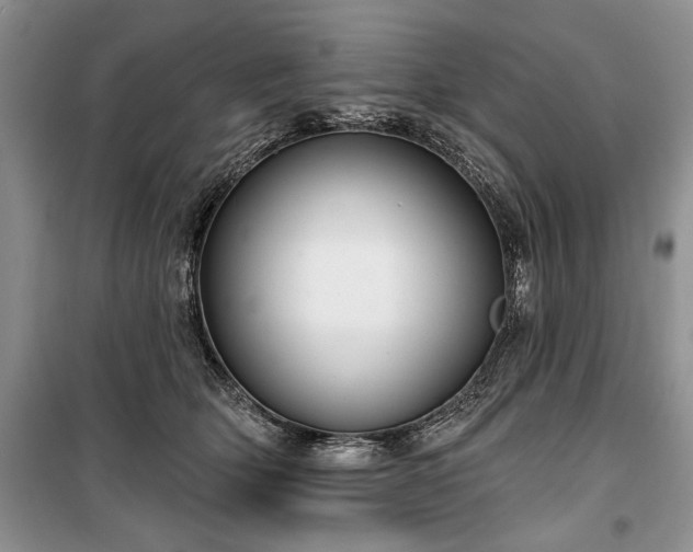 X0000100370514200806131040