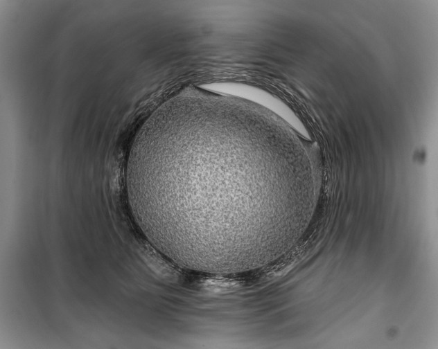 X0000100370515200806131040