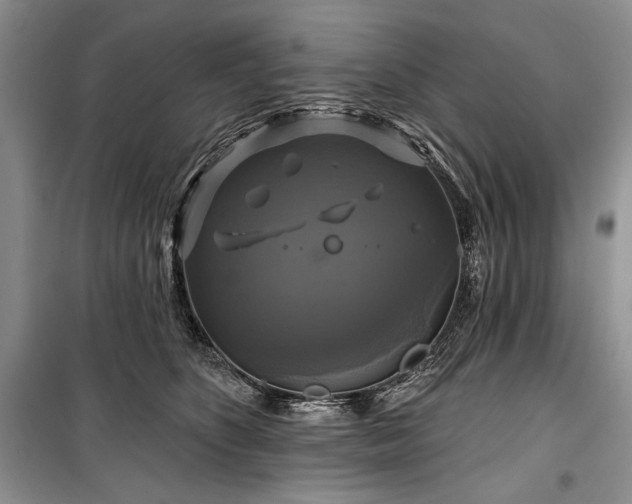 X0000100370516200806131040