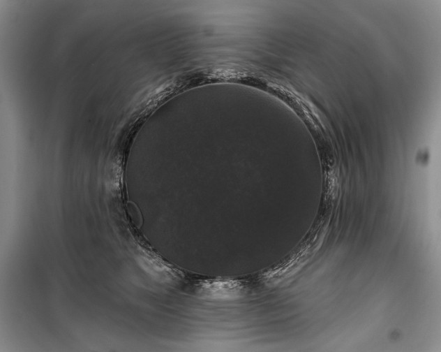 X0000100370517200806131040