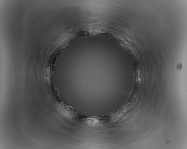 X0000100370519200806131040