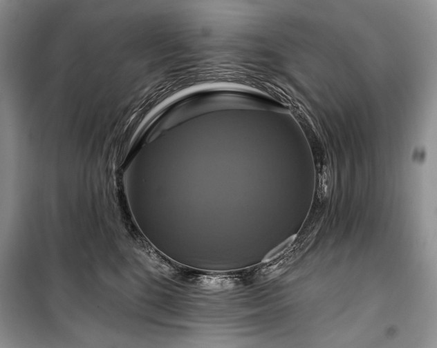 X0000100370520200806131040