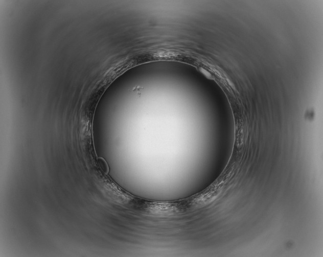 X0000100370521200806131040