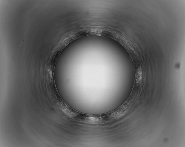 X0000100370522200806131040