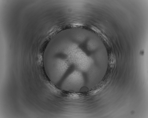 X0000100370523200806131040