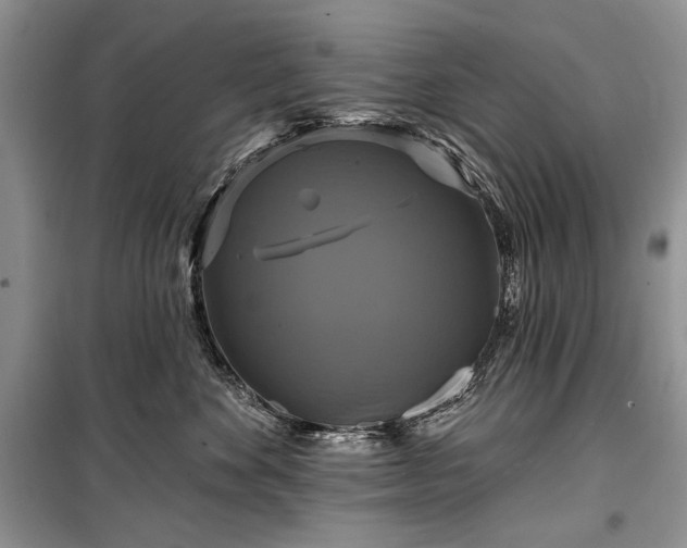 X0000100370524200806131040