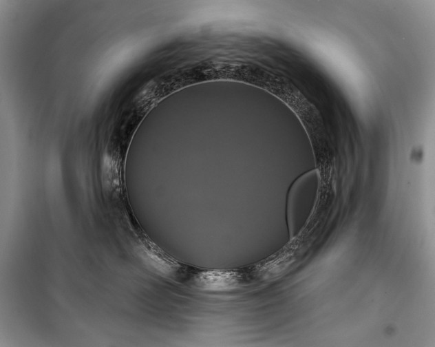 X0000100370526200806131040