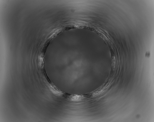 X0000100370527200806131040