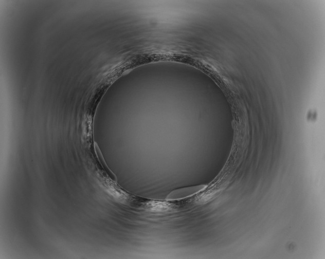 X0000100370528200806131040