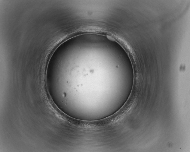 X0000100370529200806131040