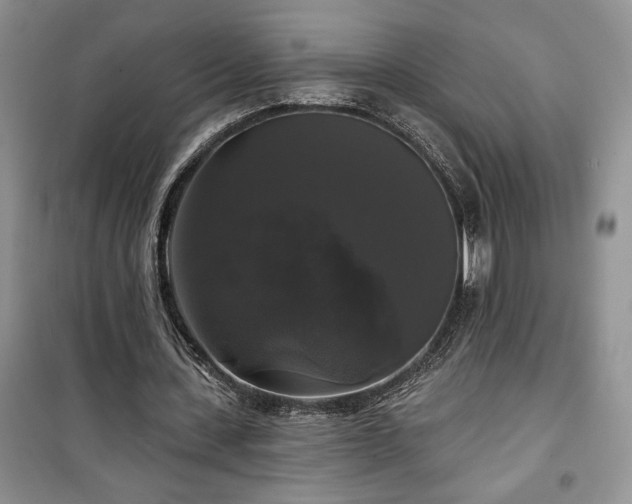 X0000100370531200806131040