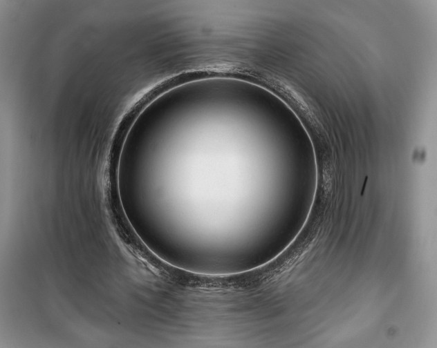 X0000100370532200806131040