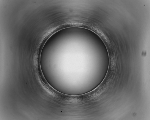 X0000100370533200806131040