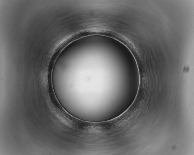 X0000100370535200806131040