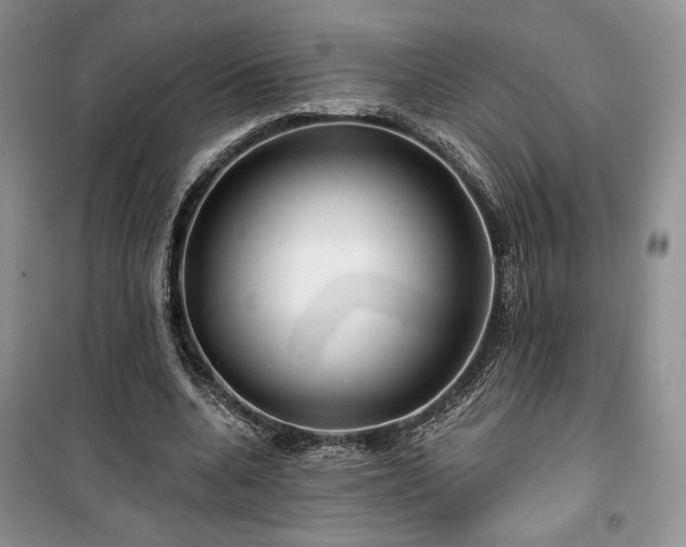 X0000100370536200806131040