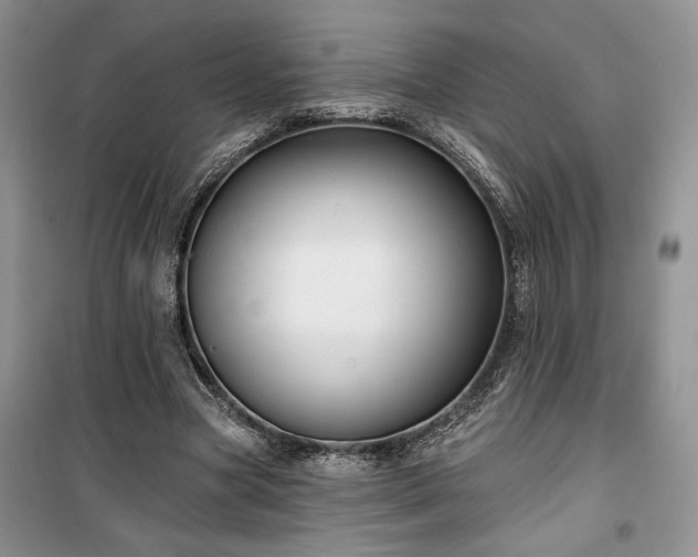 X0000100370537200806131040