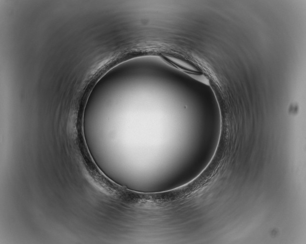 X0000100370538200806131040