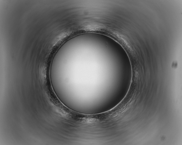 X0000100370539200806131040