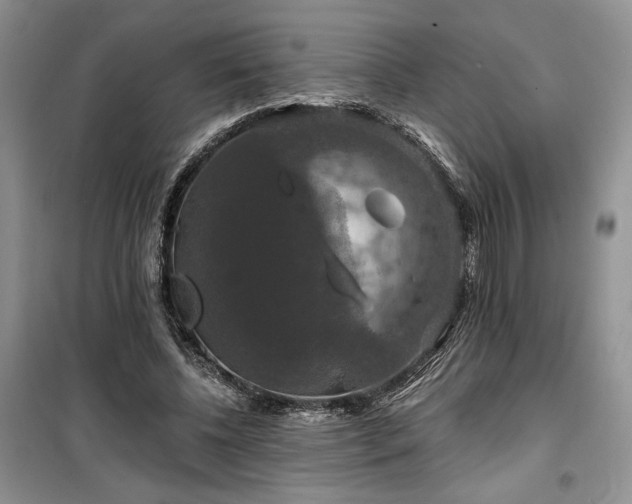 X0000100370540200806131040