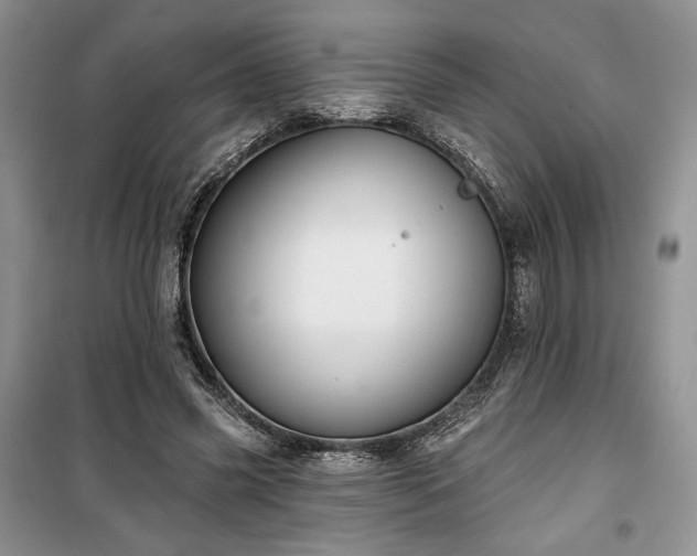 X0000100370541200806131040