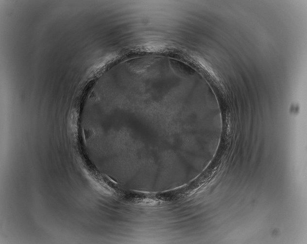 X0000100370542200806131040