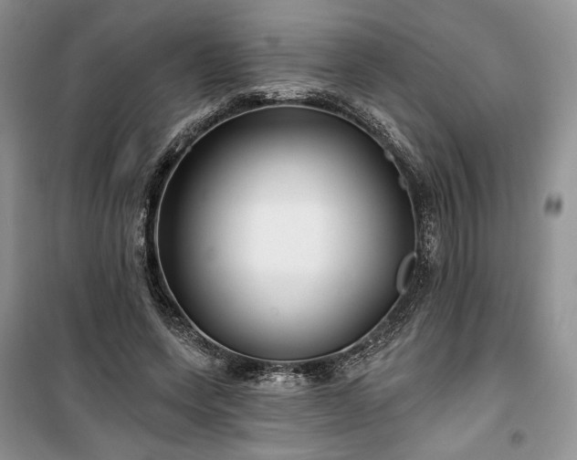 X0000100370543200806131040