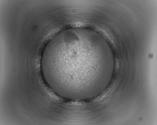 X0000100370545200806131040