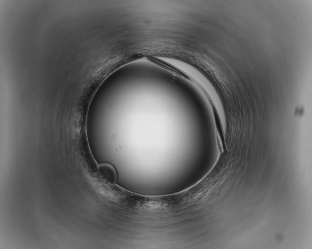 X0000100370546200806131040