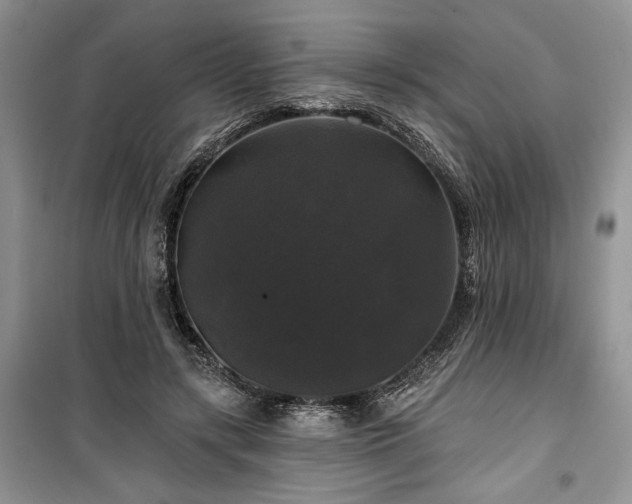 X0000100370547200806131040