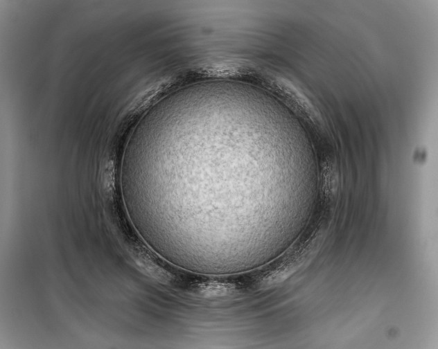 X0000100370549200806131040