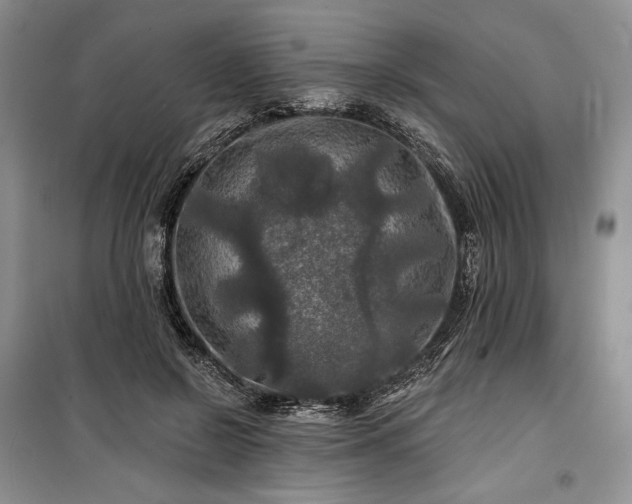 X0000100370550200806131040