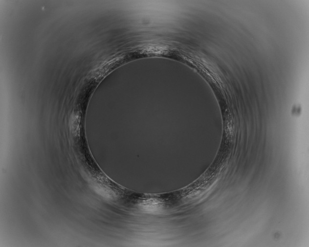 X0000100370551200806131040