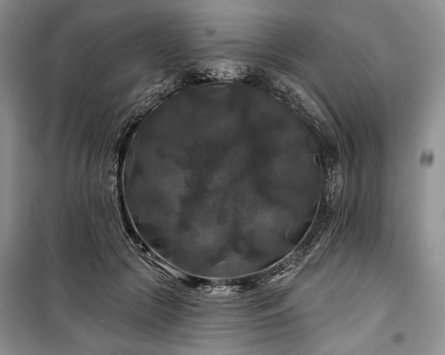 X0000100370553200806131040