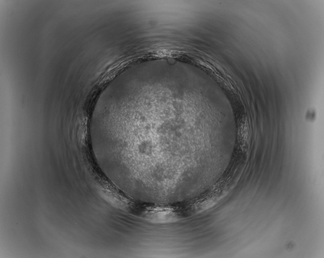 X0000100370554200806131040