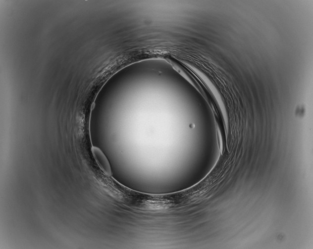 X0000100370556200806131040