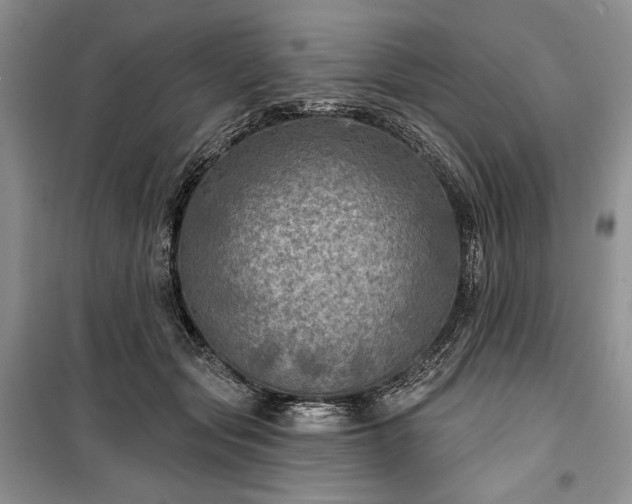 X0000100370557200806131040