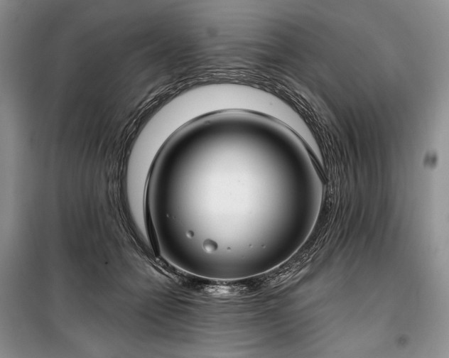 X0000100370558200806131040