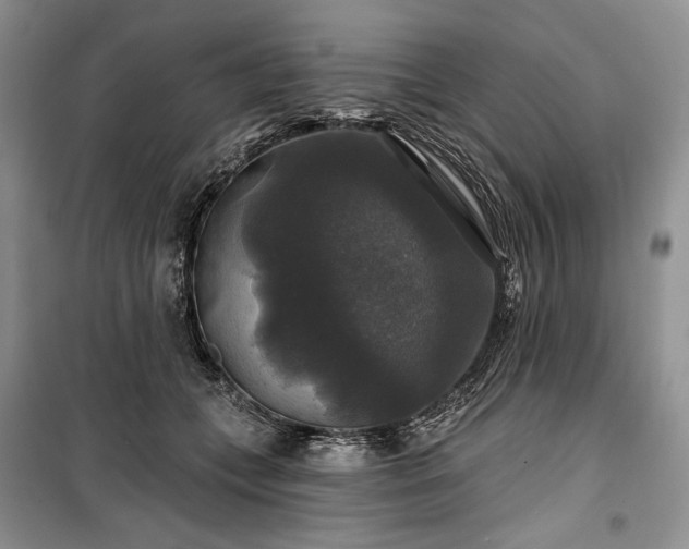 X0000100370559200806131040